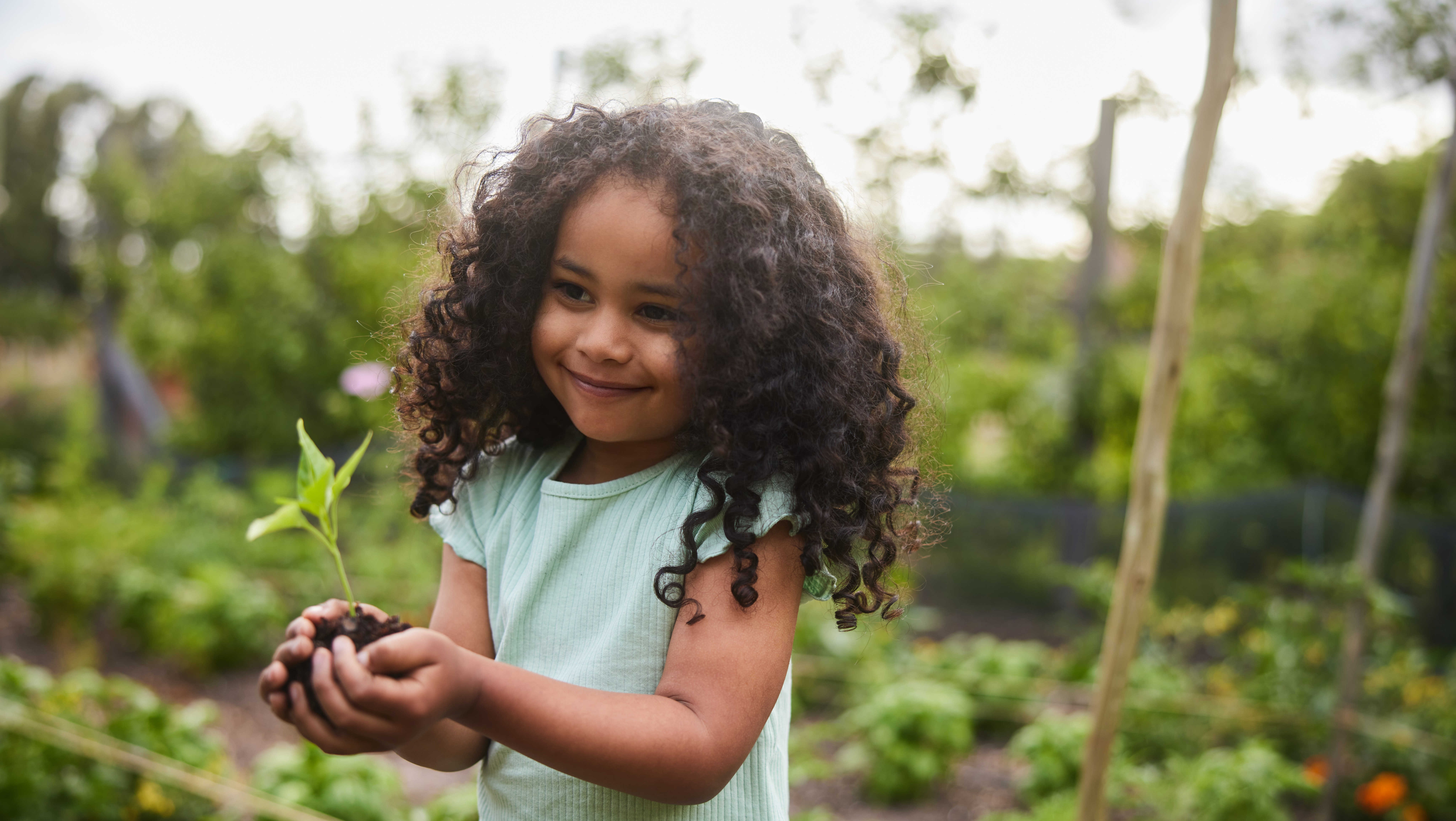 landingspagina Over Pensioenfonds PGB